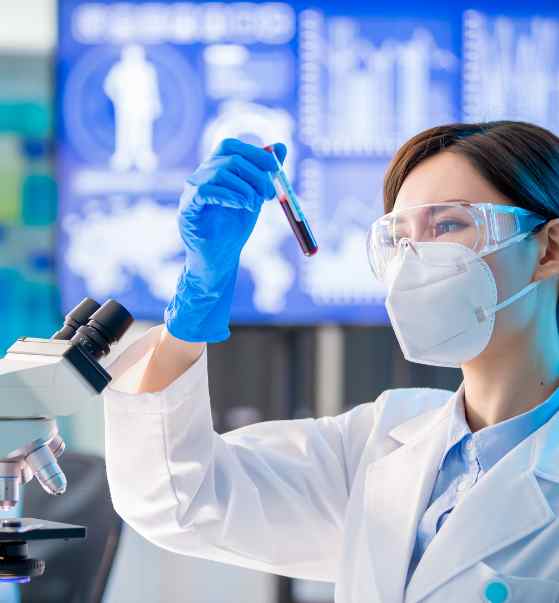 Check-up completo com exames de sangue no Laboratório Meirelles